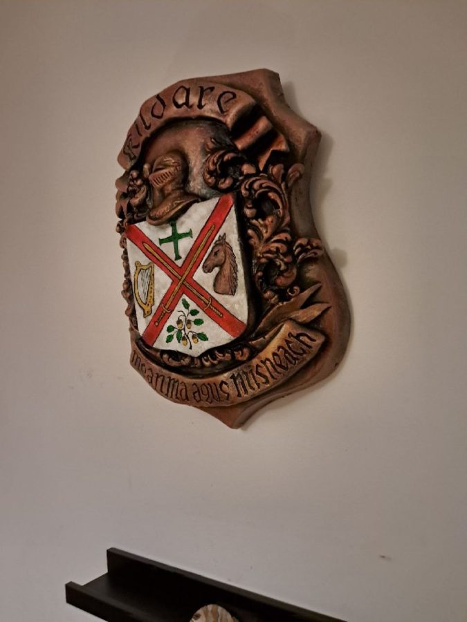 Kildare county coat of arms, painted relief