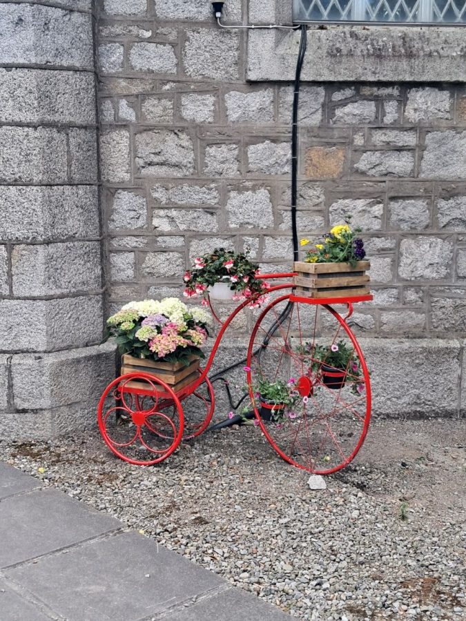 Penny-farthing planter, red finish
